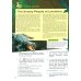Английский язык. Звездный английский. Starlight. 9 класс. Учебник. Углубленный уровень