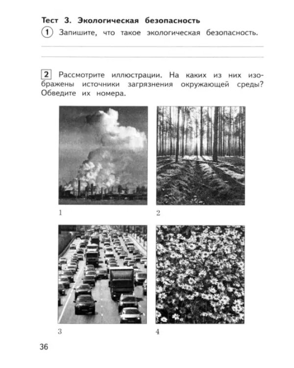 Окружающий мир. 3 класс. Предварительный контроль, текущий контроль, итоговый контроль