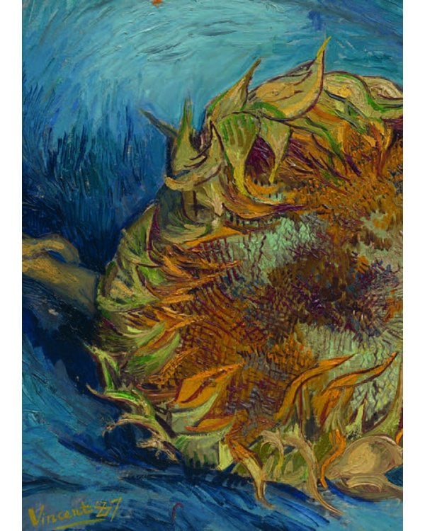 Письма. 1886-1890