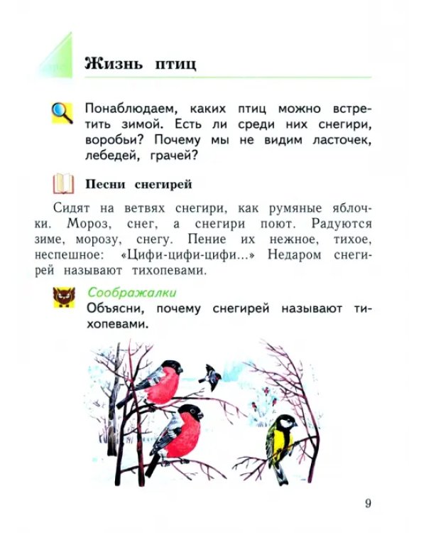 Окружающий мир. 1 класс. Учебное пособие. В 2-х частях. Часть 2