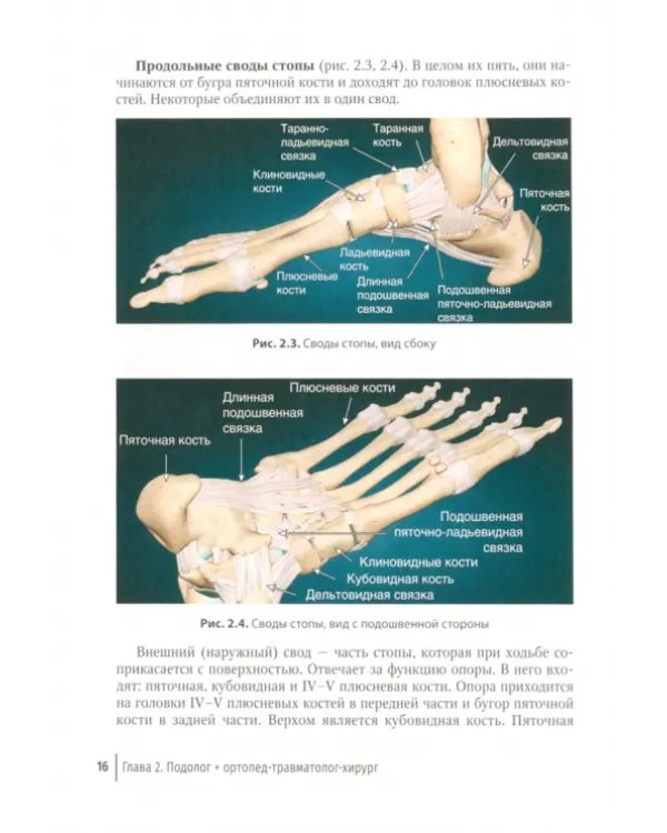 Подолог + Руководство