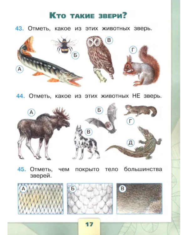 Окружающий мир. 1 класс. Тесты. ФГОС