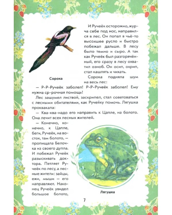 Путешествие Ручейка в мир Волшебных растений. Книга 1