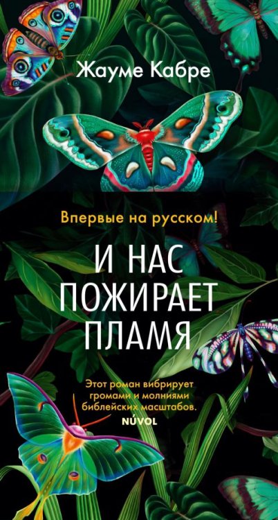 Обложка книги «И нас пожирает пламя» — Кабре Жауме, ISBN 9785389228900