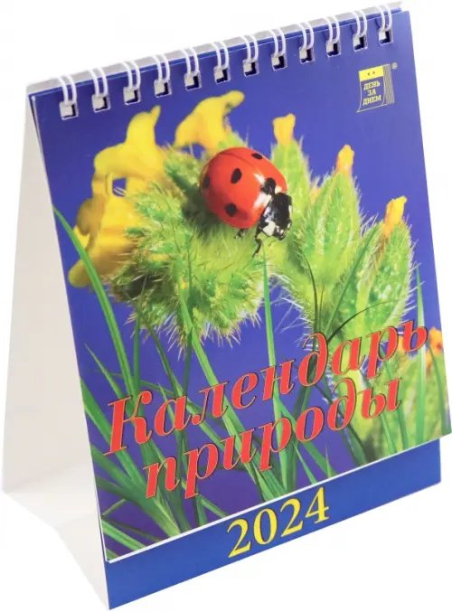 Календарь настольный 120х140 (домики) 2024 Календарь Календарь природы