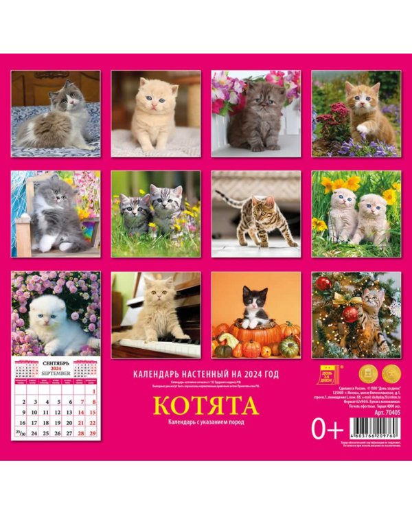 2024 Календарь Котята
