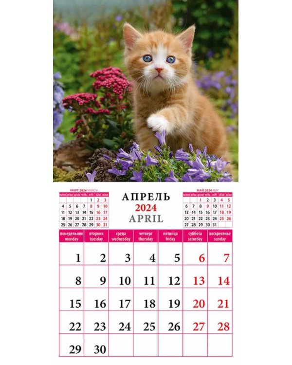2024 Календарь Котята
