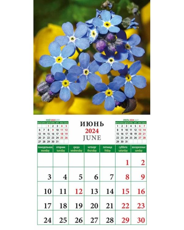 2024 Календарь Цветы