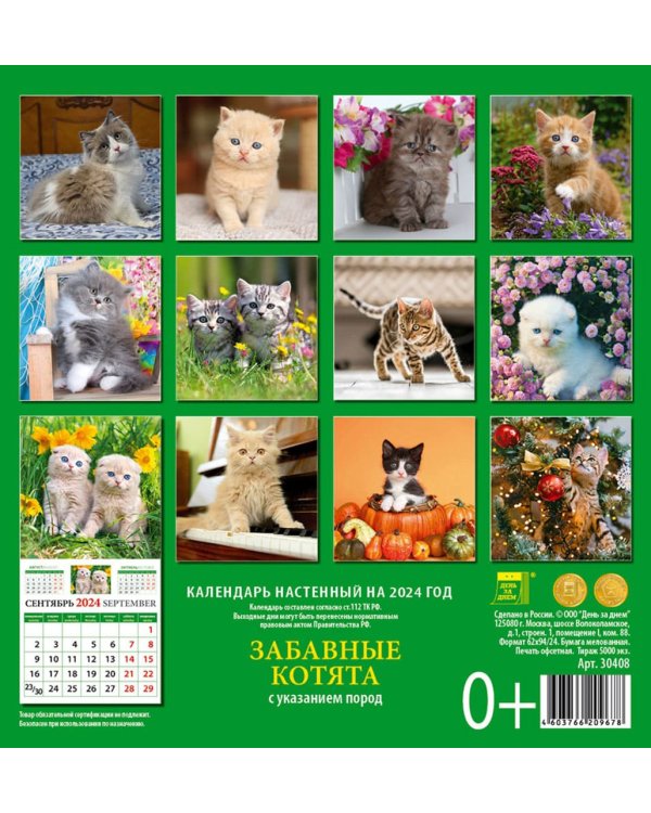 2024 Календарь Забавные котята