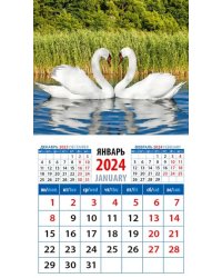 2024 Календарь Лебединая пара