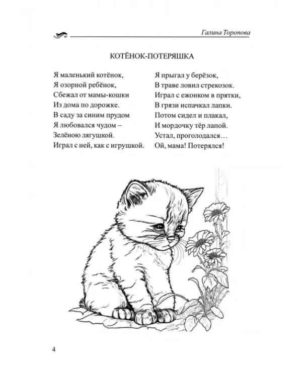 Блики