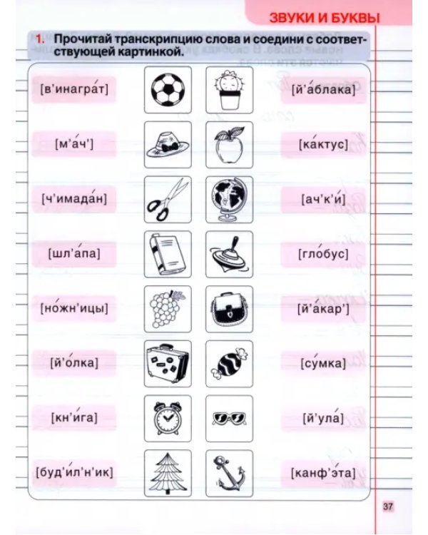 Русский язык. 2 класс. Тетрадь-тренажер