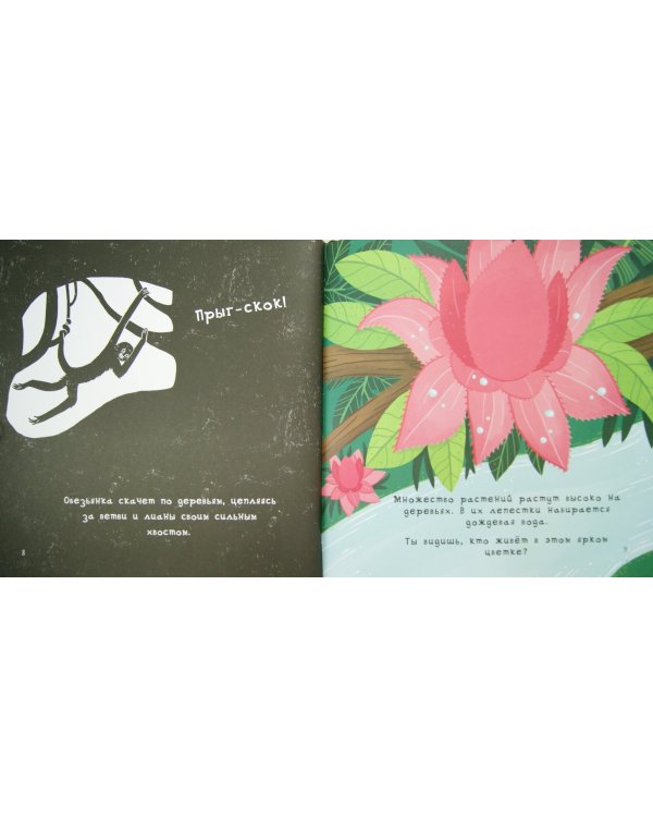 Что скрывают джунгли?