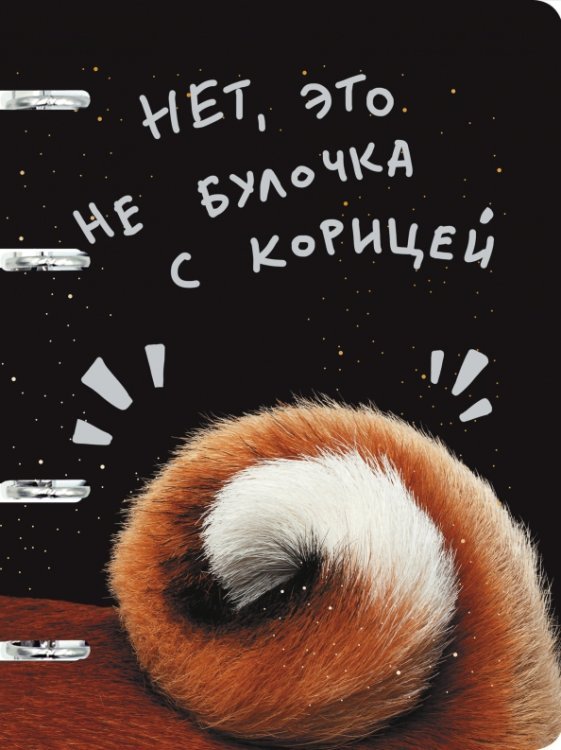 Тетрадь на кольцах Булочка с корицей, 100 листов, клетка