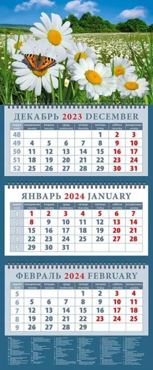 Календарь квартальный 320х760 Календарь на 2024 год Пейзаж с ромашками и бабочкой