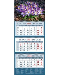 Календарь на 2024 год Весенние крокусы