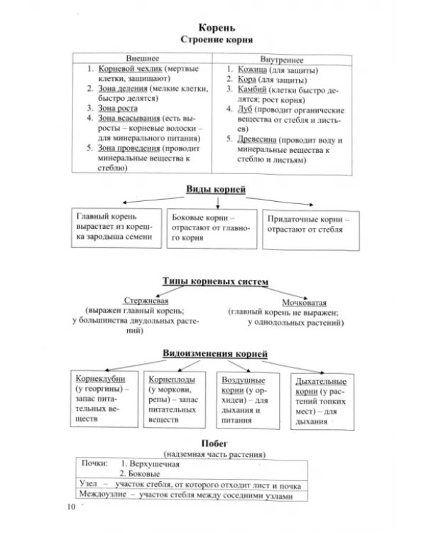 Биология в таблицах и схемах