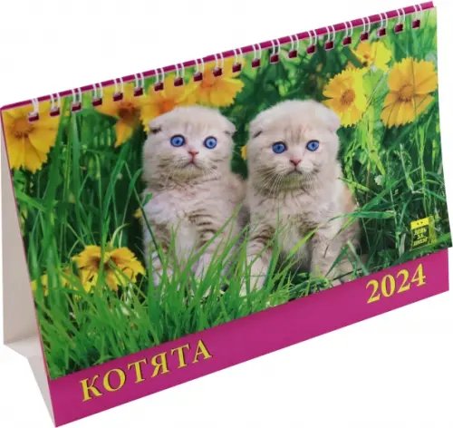Календарь настольный 200х140 (домики) Календарь настольный на 2024 год Котята