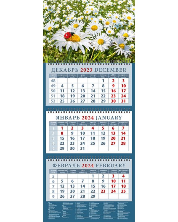 Календарь на 2024 год Ромашки и божья коровка