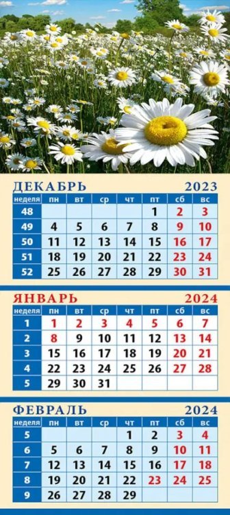 Календарь квартальный на магните 110х245 Календарь на 2024 год Ромашки