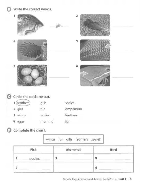 Oxford Discover. Second Edition. Level 2. Workbook with Online Practice