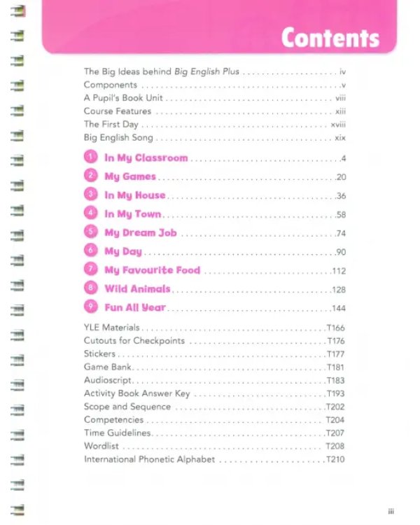 Big English Plus. Level 2. Teacher's Book