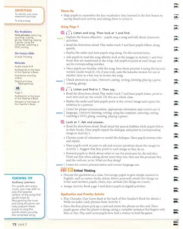 Big English Plus. Level 2. Teacher's Book