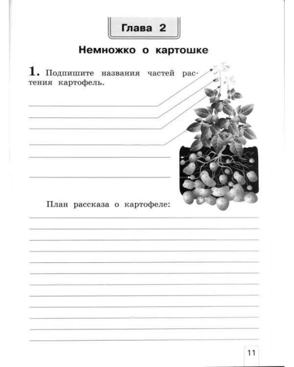 Окружающий мир. 2 класс. Рабочая тетрадь. В 2-х частях. Часть 1