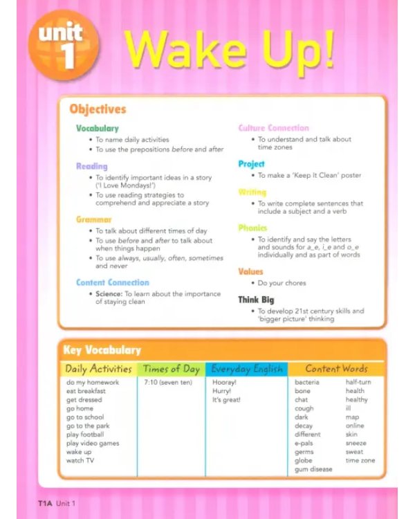 Big English Plus 3. Teacher's Book
