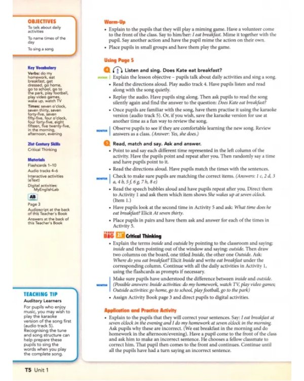 Big English Plus 3. Teacher's Book