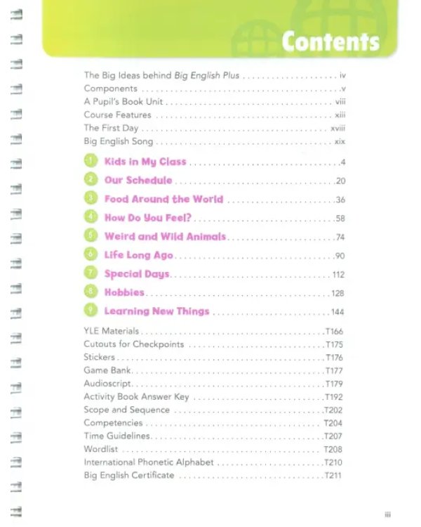 Big English Plus. Level 4. Teacher's Book