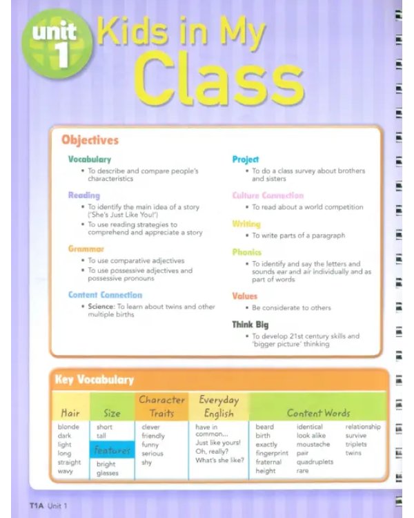 Big English Plus. Level 4. Teacher's Book