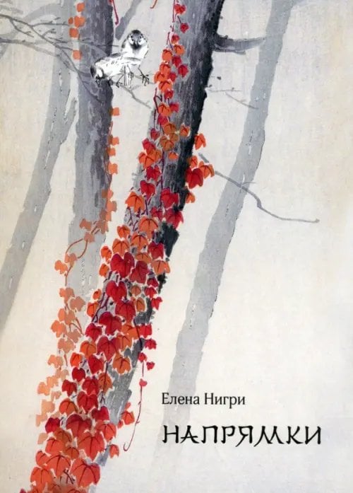 Напрямки Напрямки