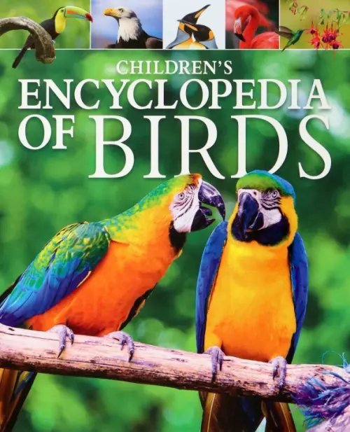 Arcturus Children`s Reference Library Children's Encyclopedia of Birds