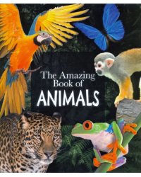 The Amazing Book of Animals