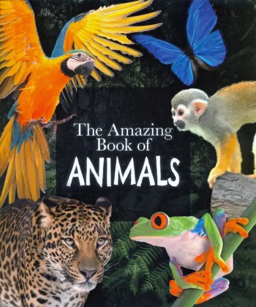 The Amazing Book of Animals