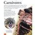 Дополнительное изображение книги «The Amazing Book of Animals»
