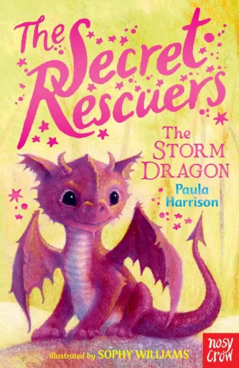 The Secret Rescuers The Storm Dragon