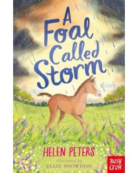 A Foal Called Storm