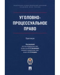 Уголовно-процессуальное право. Практикум