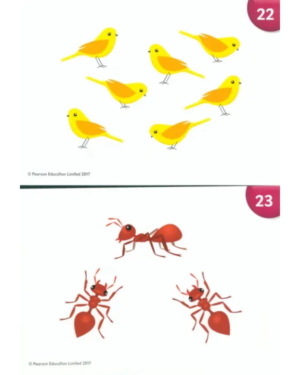 Poptropica English Islands. Level 3. Flashcards