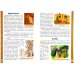 Дополнительное изображение книги «Святитель Павлин Милостивый»
