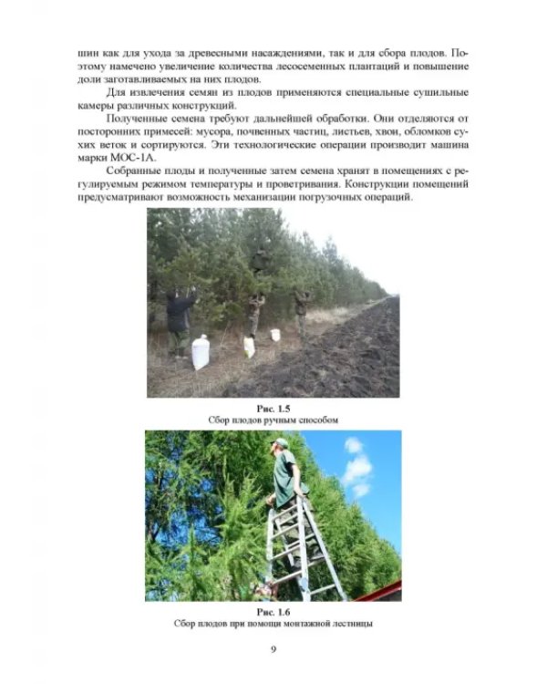 Машины и оборудование лесного хозяйства. Учебное пособие для вузов