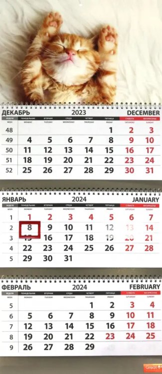 Календарь квартальный на 2024 год Котята. Сон Календарь квартальный на 2024 год Котята. Сон