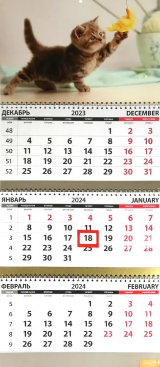Календарь квартальный на 2024 год Котята. Игра Календарь квартальный на 2024 год Котята. Игра