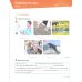 English Code. Level 4. Assessment Book