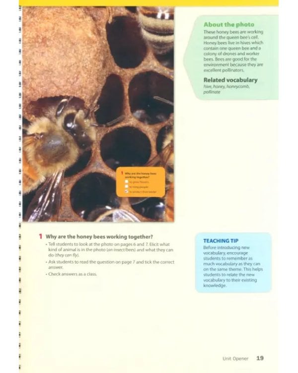 Дополнительное изображение книги «Wonderful World 4. 2nd Edition. Lesson Planner + Class Audio CD, DVD + Teacher's Resource CD-ROM»