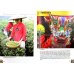 China: Intemediate Reader