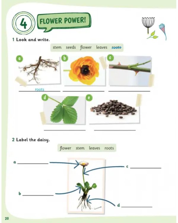 Science Skills. Level 1. Activity Book with Online Activities