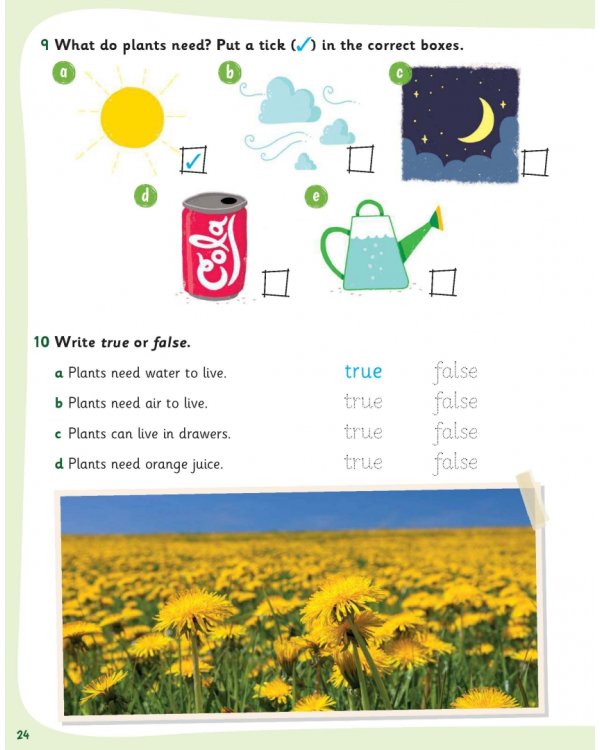 Science Skills. Level 1. Activity Book with Online Activities